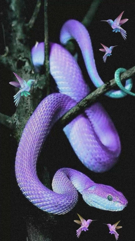 Smaragd serpent 1500m / 3nitka 1