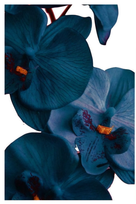 ORCHIDEJ modrá 1000m / 4nitka s lurexem 1