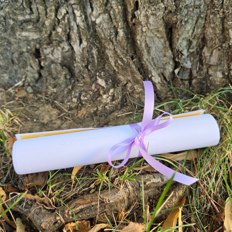 Sada na šátek Aurum / Amethyst 3